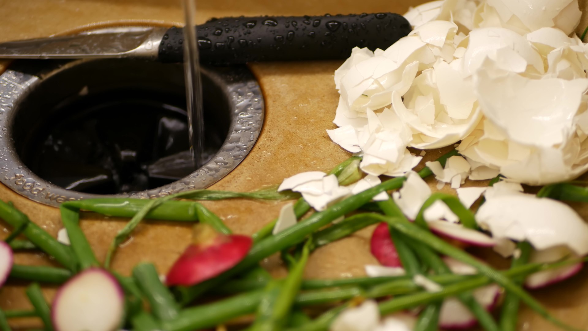 Garbage Disposal Repair in Ogden Utah Garbage Disposal Repair in Ogden Utah